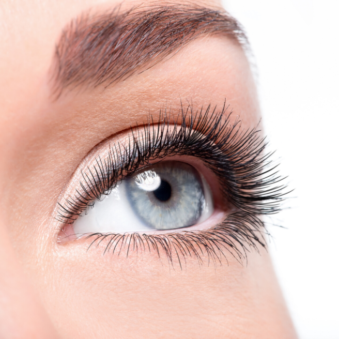 Cashmere Lashes Masterclass
